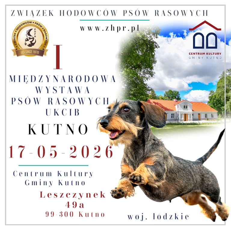 plakat Kutno mini